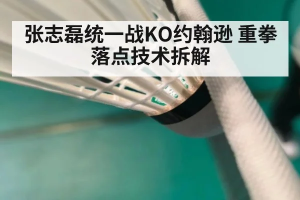 张志磊统一战KO约翰逊 重拳落点技术拆解
